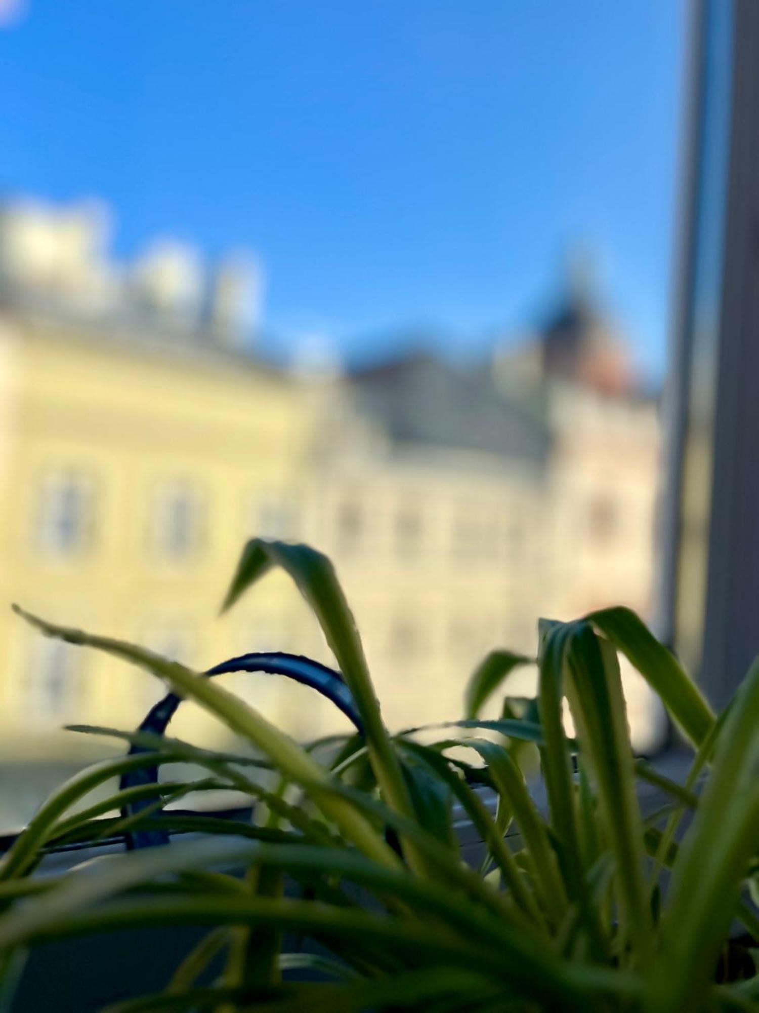 Vintage Senacka 9/7 Apartment Krakow Luaran gambar